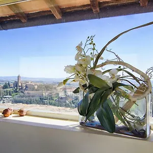 Rinidia - Centro , Siena Italia